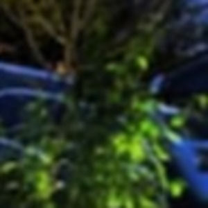 Meet your Posher, Noel